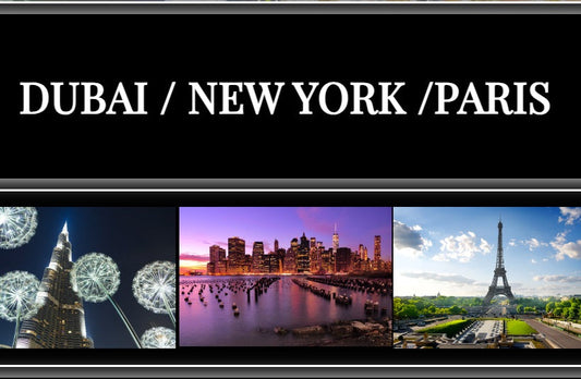 Best Olive Oils Store At DUBAI / NEW YORK / PARIS