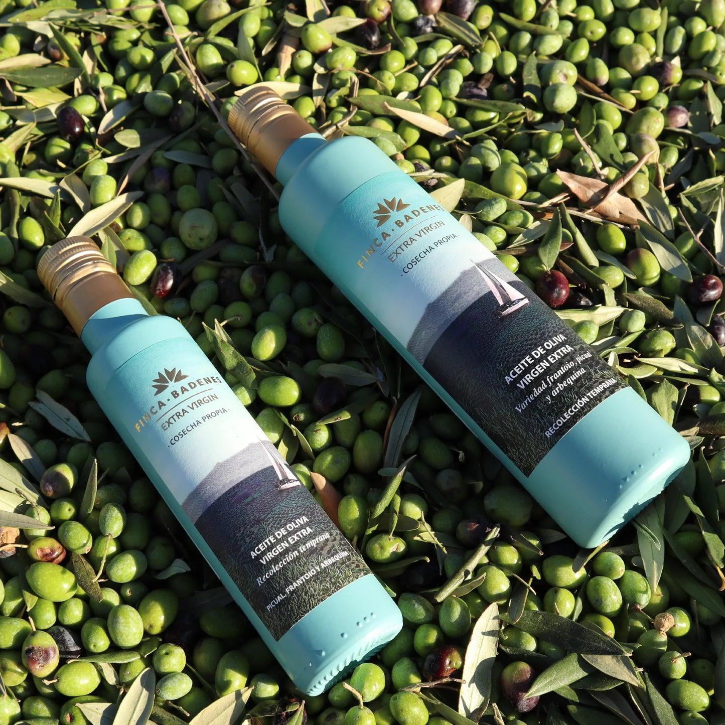 FINCA BADENES Early Harvest