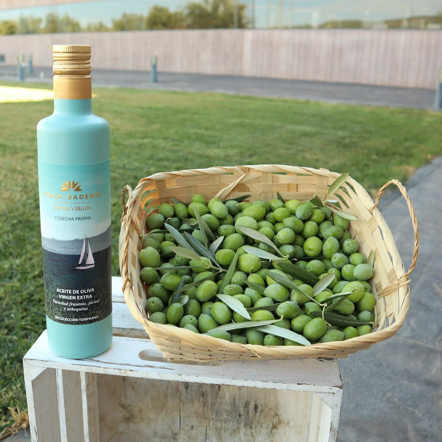 FINCA BADENES Early Harvest